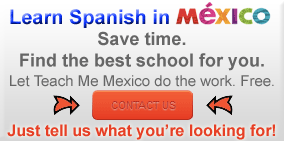 Teach Me Mexico Helps You Find Your Perfect Spanish School
