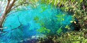 Cool Off in a Cenote